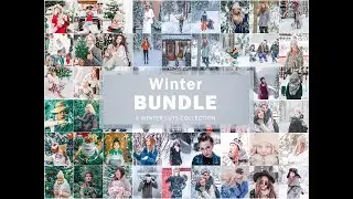 Winter LUTs Bundle,