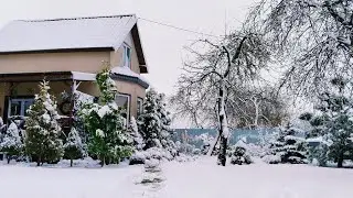 🏠Загородная жизнь в сезон снегопадов❄️ Сад 10 соток🌲  11 Января  2025 