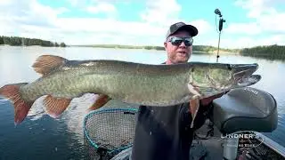 BIG Winnipeg River Musky on St. Croix Magic Wand (Hint: it's GREEN!) #muskyfishing #stcroixrods