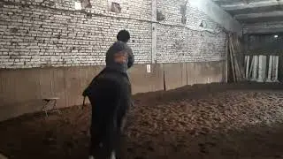 Детский конный спорт. Тренировка, подготовка к прыжкам через препятствия.