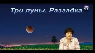 Три луны. Разгадка. Школа Разума 15