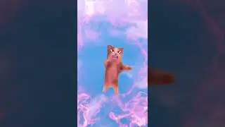 357086336 272879352081380 3600768438773904747 n  #shortvideo #shortsfeed #shorts