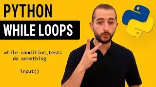 How To Use While Loops in Python With Mini Project