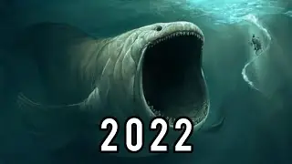 Evolution of the Bloop 1997-2022
