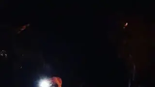 У патрульных язык в жопу залез