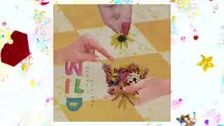 WILD - 