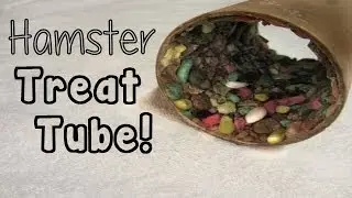 How To Make A Hamster Treat Tube!