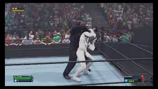 WWE MATCH