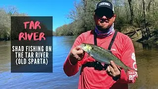 Tar River Shad Fishing - Old Sparta in Eastern North Carolina (Tarboro - 2023)