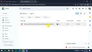 How To Use Google Drive to Store Photos