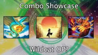 Yu-Gi-Oh! Infernity Wildcat Interesting Combo Showcase feat Return of the Reaper