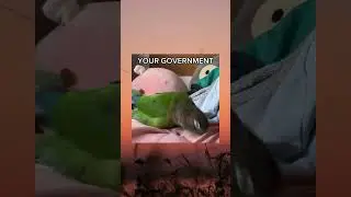 Discord meme #3 
