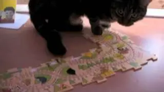 Tom Cat and the Train