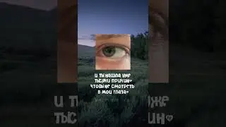 :_)#лошади#моялюбовь#рекомендации#подпишись#глаза#мояжизнь