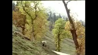 kadhal rojave - Roja - A.R.Rahman - Full Quality