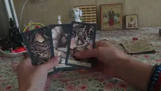 Кого послали на хутор бабочек ловить