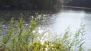 мерцание солнечной дорожки на воде