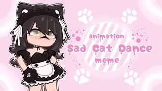 Sad Cat Dance.🐈💞 || meme ||❤️|for 25k sub!🥳