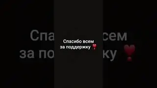 Кормим бездомных собак по улицам 