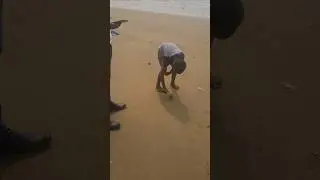 Red Crab beach || Mandarmani #minivlog #iamacreator #vlog #kolkata