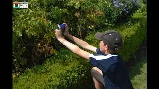 Kids Live Online Photography Workshops