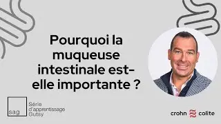 Pourquoi la muqueuse intestinale est-elle importante ?