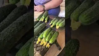 Сажайте свои огурцы и будет вам счастье!