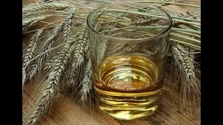 Самогон из ячменя в домашних условиях