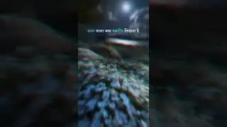 🥺🥺..