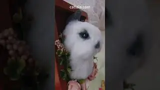 Hopping to Eternity: Remembering Our Bunnies with Woolen Art