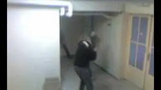tit fight