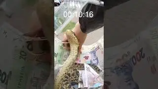 Победи Свой Страх и Получи Деньги !