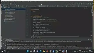 Designing the database access based on program usage patterns