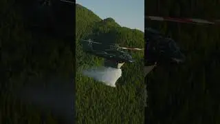 The C-FHWK helicopter