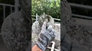 Реставрация памятника, и благоустройство захоронений на кладбище ДНР.