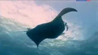 МОРСКОЕ ЦАРСТВО!!!