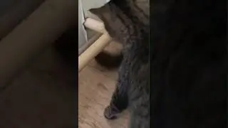 И пиздуй отсюда