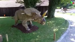 DINOLAND   Allround TV