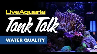 LiveAquaria® Tank Talk - Water Quality