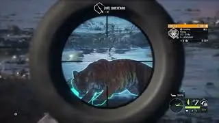 Stalked by a Diamond Tiger while hunting a Rare Barasingha on Multiplayer!!|theHunter COTW