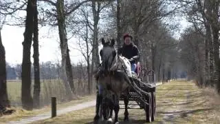 Ulkeloane Kollumerland Friesland