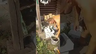 процесс укладки кирпича 💪💪💪