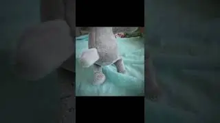 это шикарно💖🎀🌷
