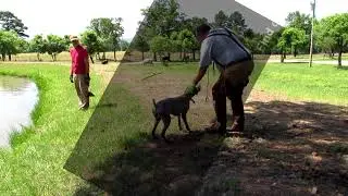 Dunnit Water Retrieve (6/16/2020)