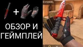 M9 Bayonet Blue Blood & Gloves Neuro | ОБЗОР И ГЕЙМПЛЕЙ