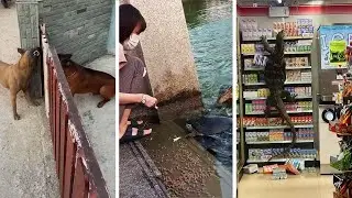 Top 30 BEST Videos Of 2021 So Far