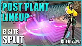 KILLJOY LINEUPS - SPLIT - Post Plant Molly Nanoswarm Setup Guide #17 - B Site - New Default