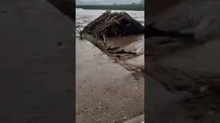Gubuk hanyut banjir  #shorts #fyp #viral #trending #banjir