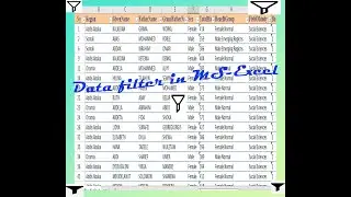 data filter  using MS- Excel  in Amharic