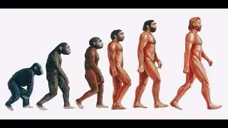 Historia de la Evolución Humana - Pasos de gigante